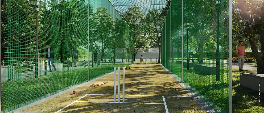 2.Cricket-Pitch-